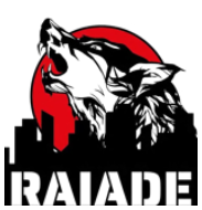 RAIADE Logo